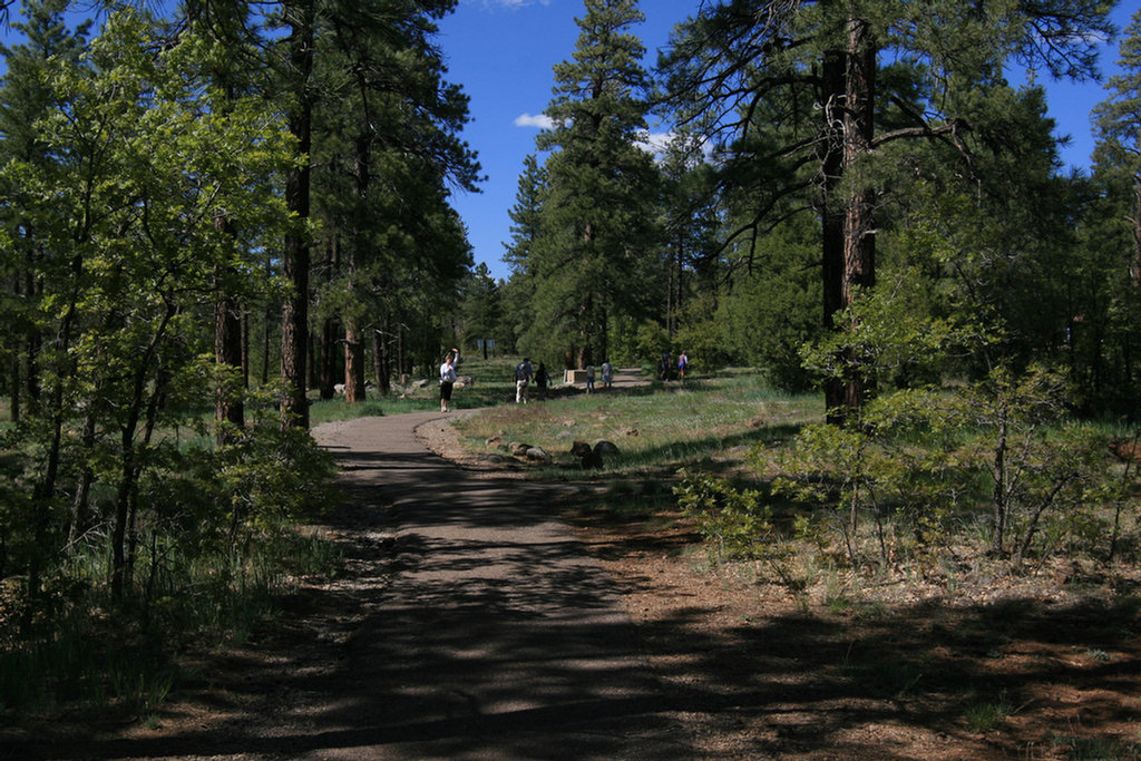 On our way to Sedona 2008