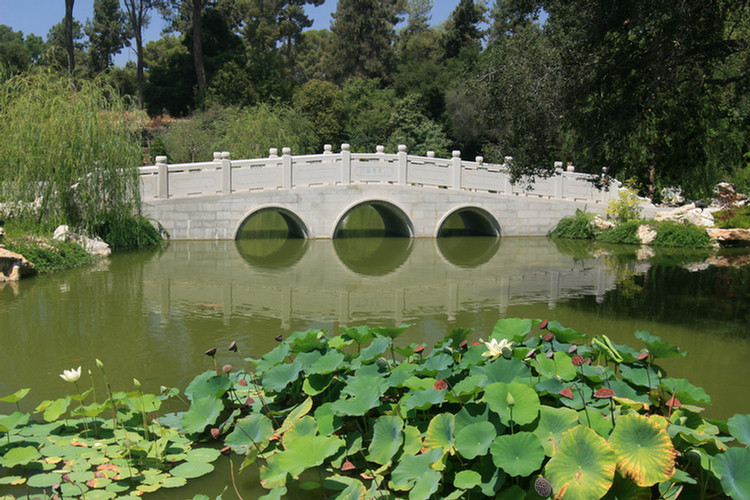 Huntington Library and Gardens August 2009