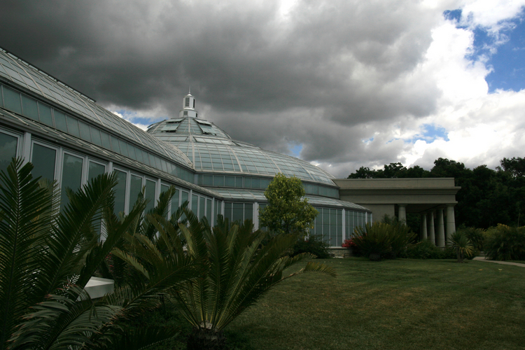 The Conservatory and Kids Garden