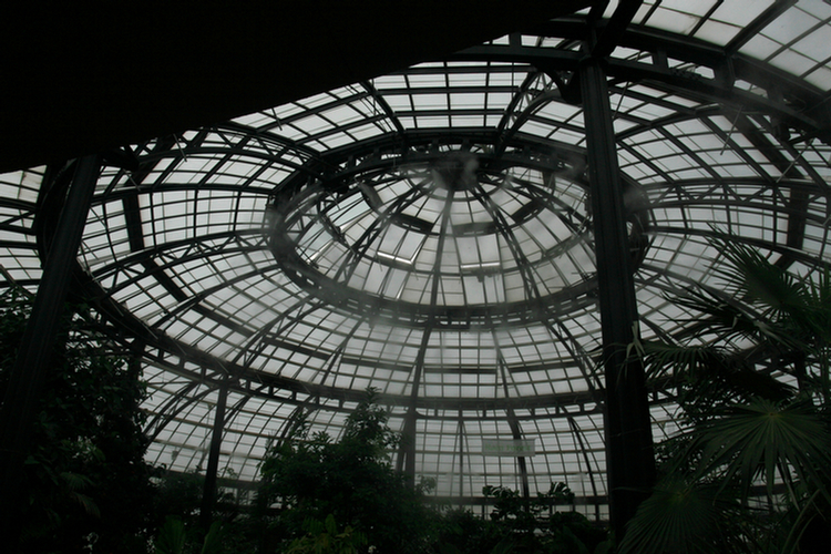 The Conservatory and Kids Garden