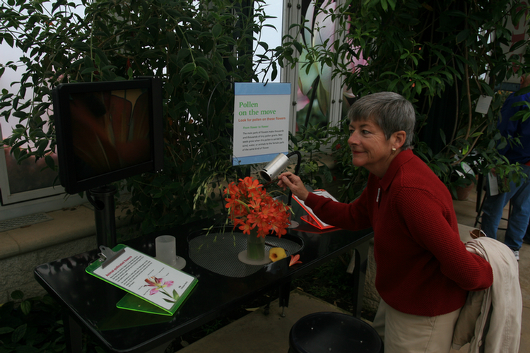 The Conservatory and Kids Garden