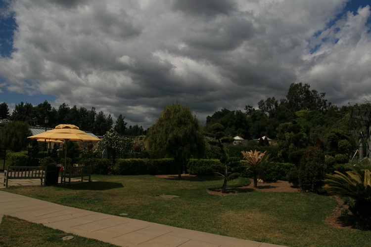 The Conservatory and Kids Garden