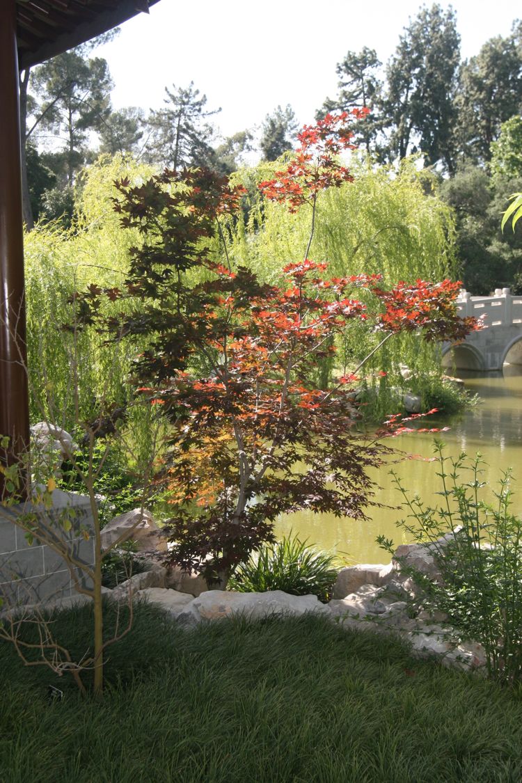 Huntington Japanese and Chinese Gardens