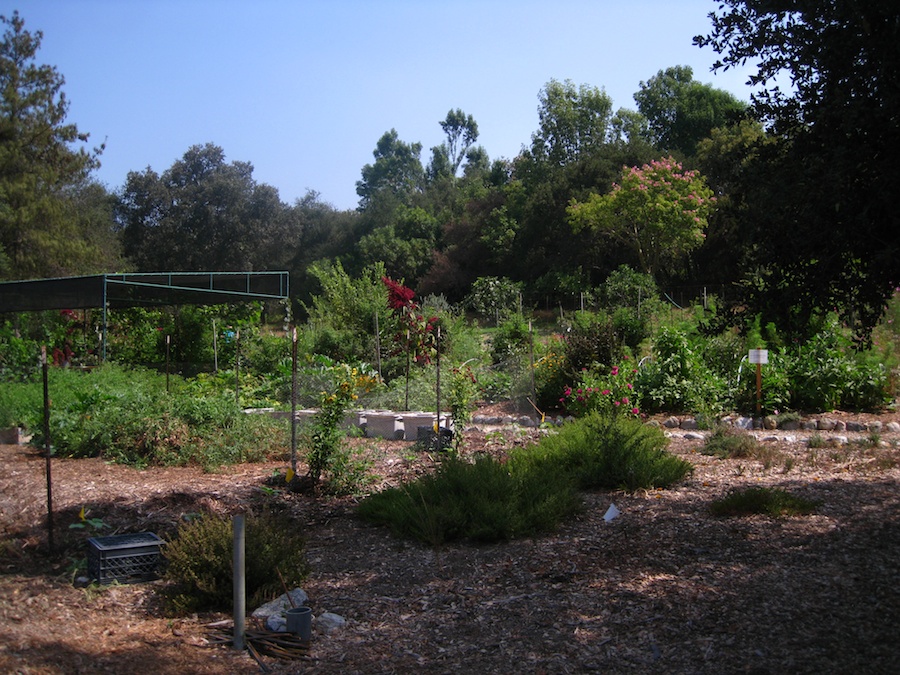 A visit to the educational center at the Huntington Gardens