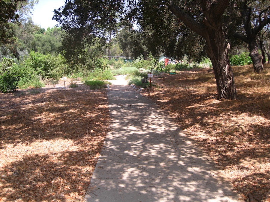 A visit to the educational center at the Huntington Gardens