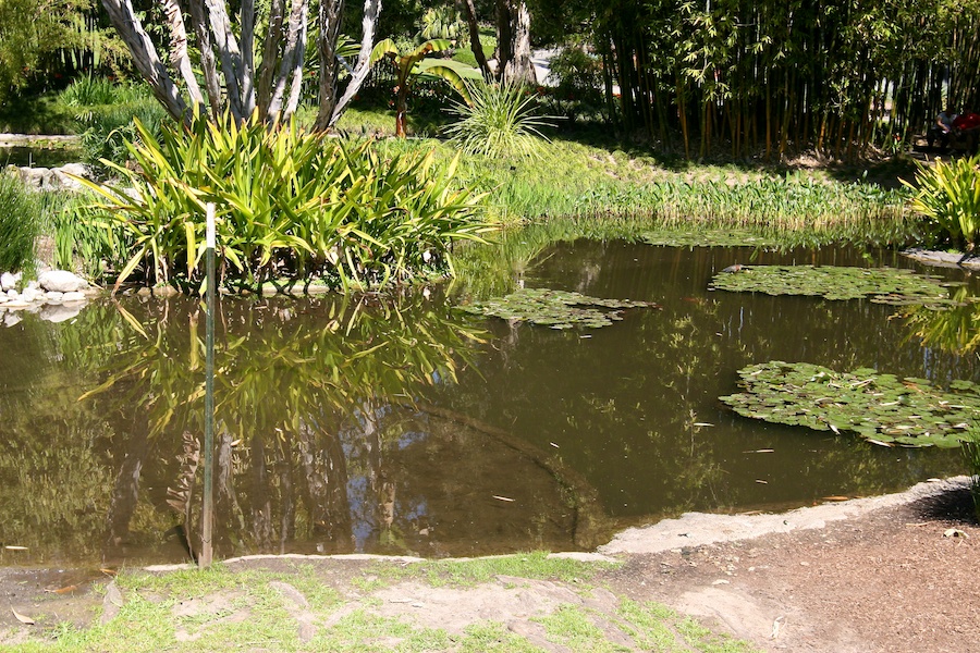 Celebrating five years retired at Huntington Gardens