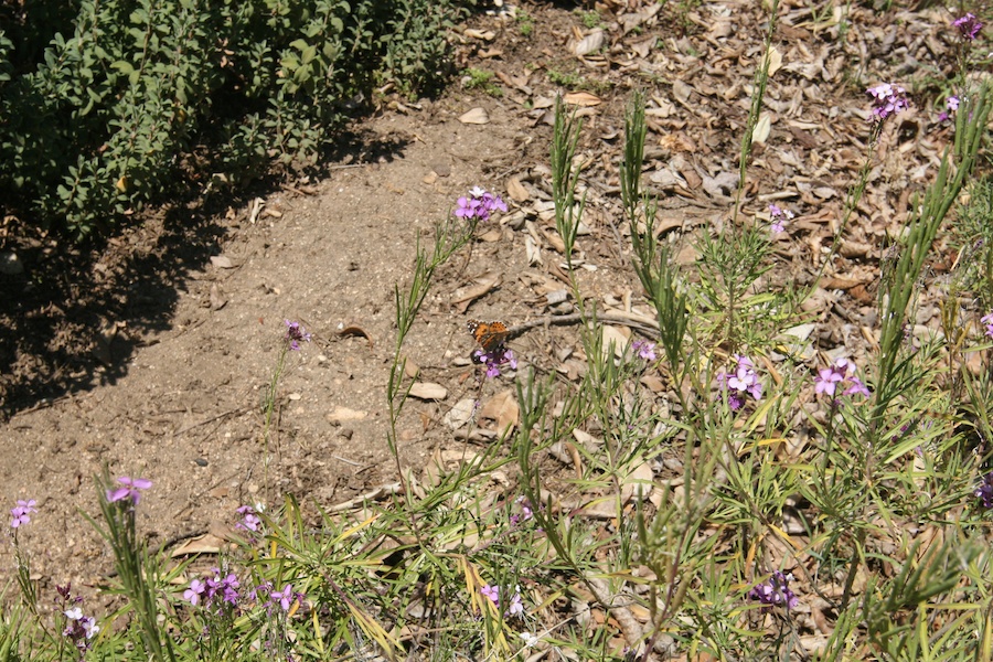 Celebrating five years retired at Huntington Gardens