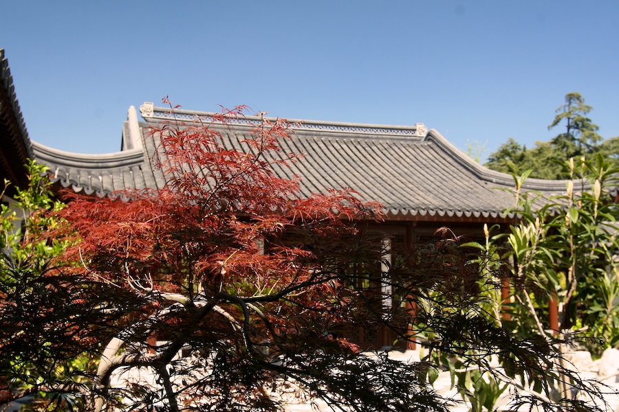 Celebrating five years retired at Huntington Gardens