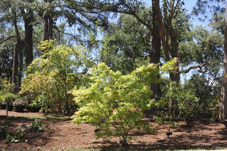 At the Huntington April 2013