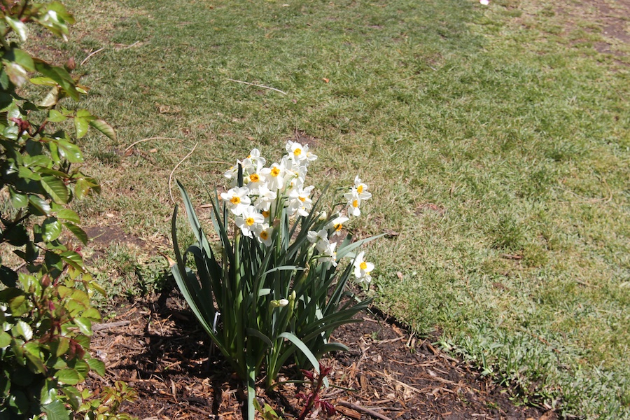 A visit to the Huntington Library & Gardens April 8th 2013