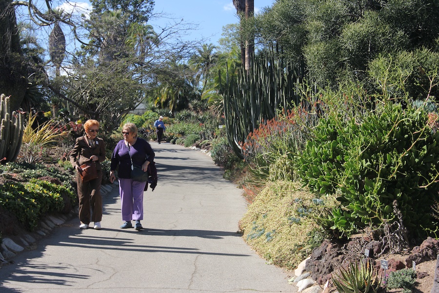 A visit to the Huntington Library & Gardens April 8th 2013