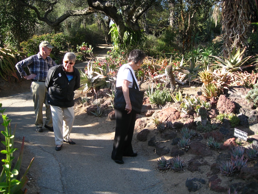 Visiting the Hungtington Gardens for a birthday celebration 2/23/2014