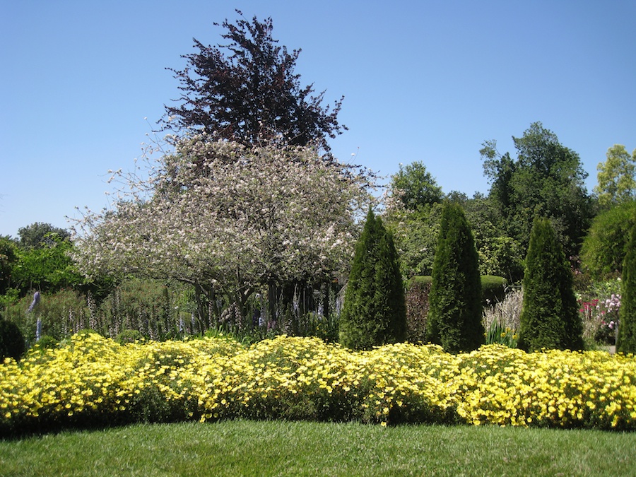 Huntington Gardens with the Porters 4/14/14