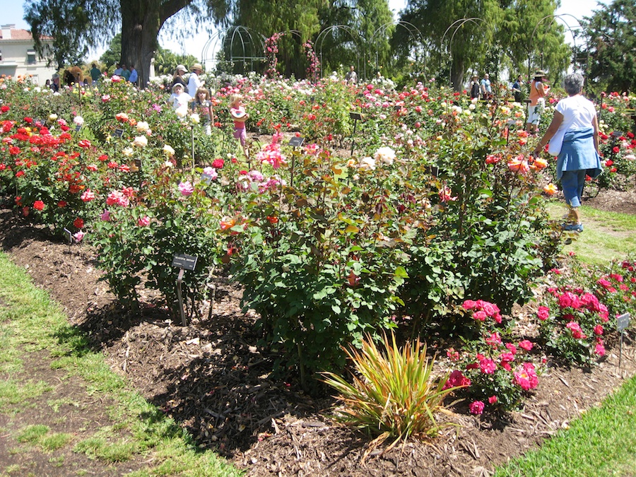 Huntington Gardens with the Porters 4/14/14