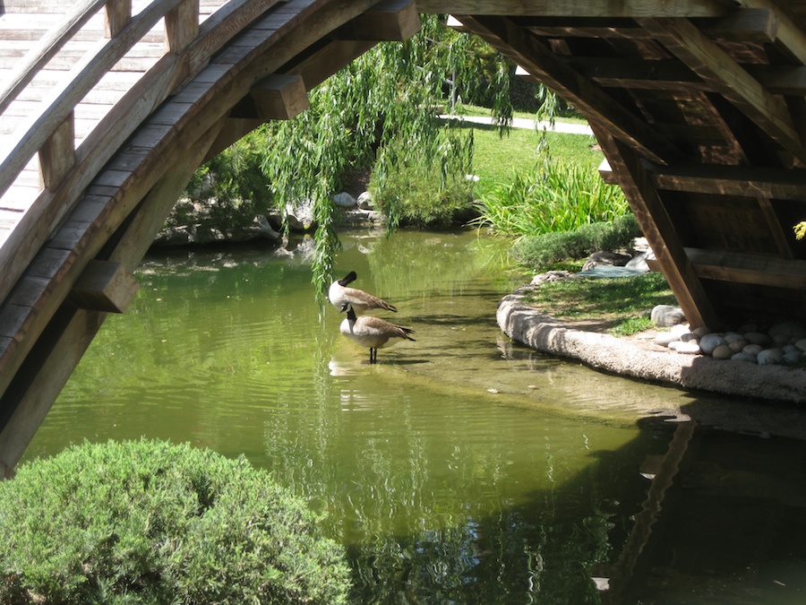 Huntington Gardens with the Porters 4/14/14