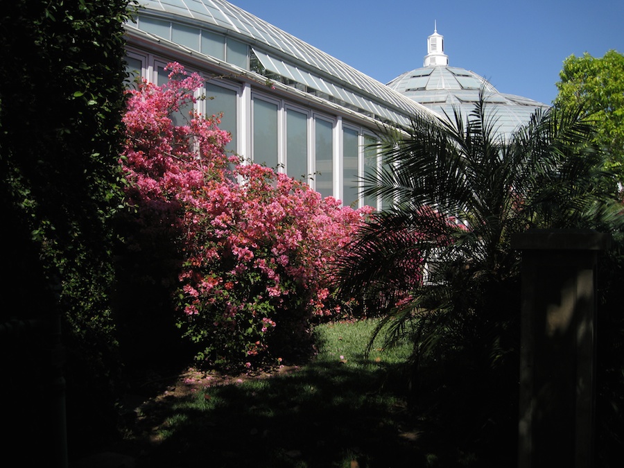 Huntington Gardens with the Porters 4/14/14