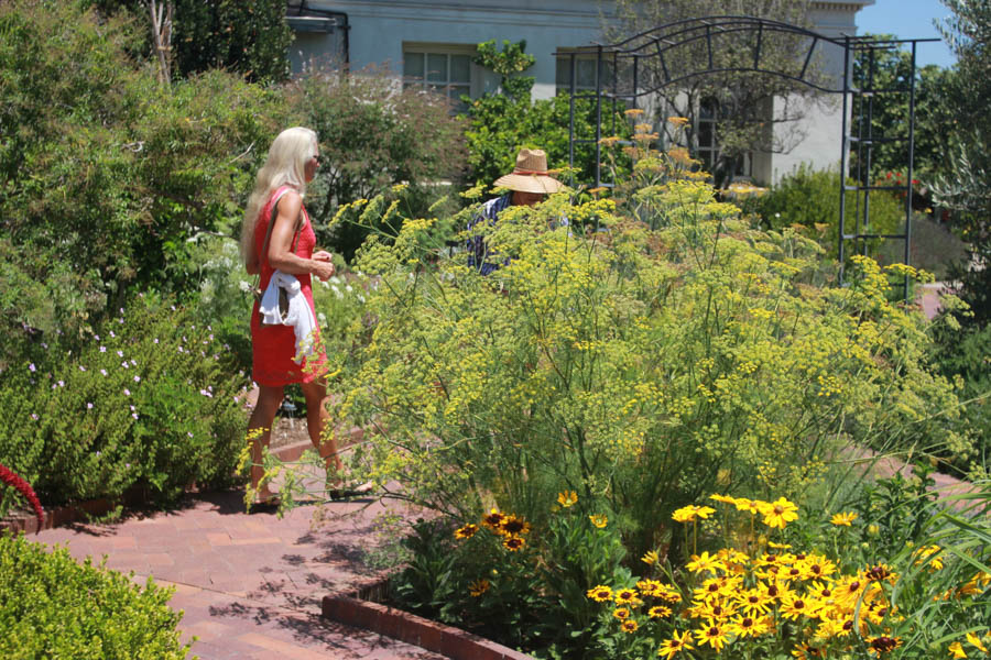 A walk iat the Huntington 7/13/2015