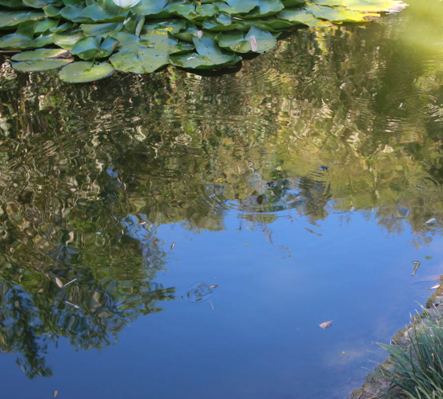 Visiting the Huntington Gardens July 13th 2015 with Charlotte and Greg