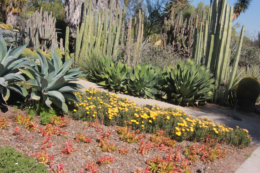 Visitig the Huntington with the Finchs and Greg March 2016