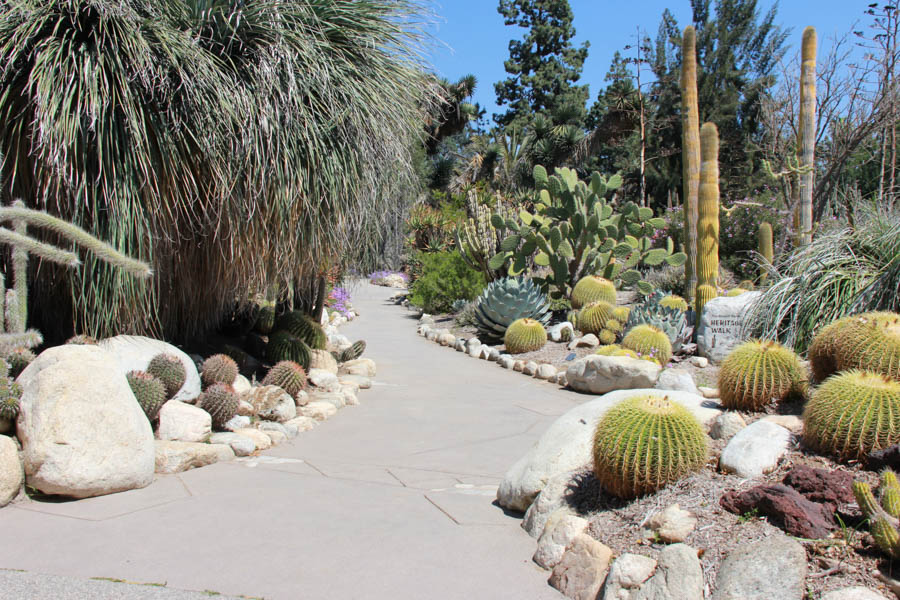 Walking in the Huntington Gardens March 2017