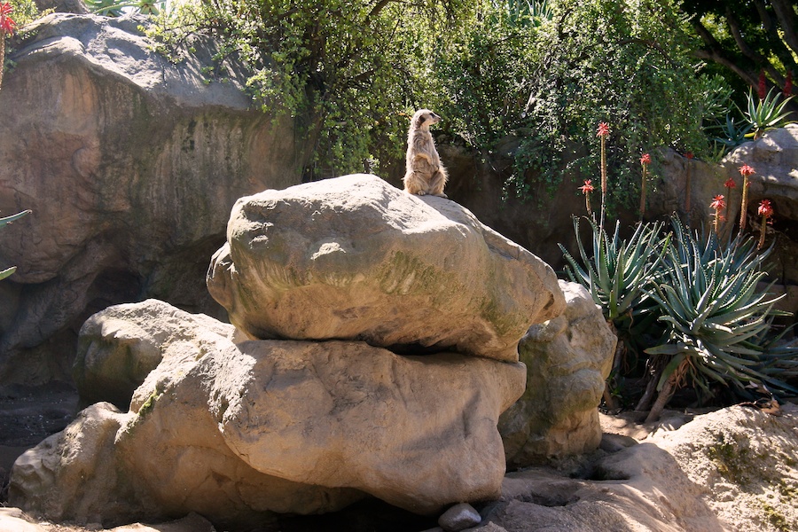 The LAIR visit to the LA Zoo March 2012