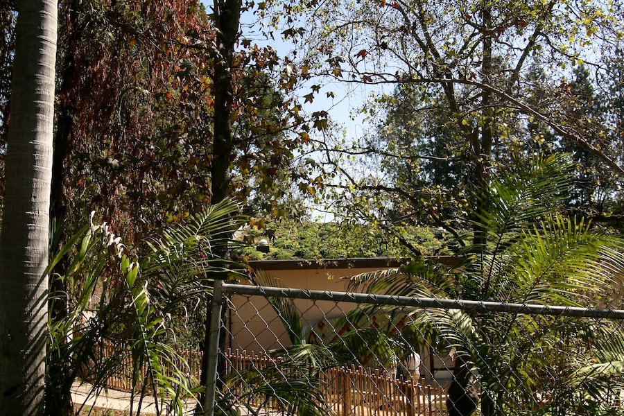 The LAIR visit to the LA Zoo March 2012