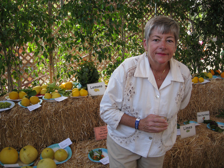 At the fair on opening day