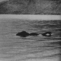 Loch Ness Monster of Old Ranch