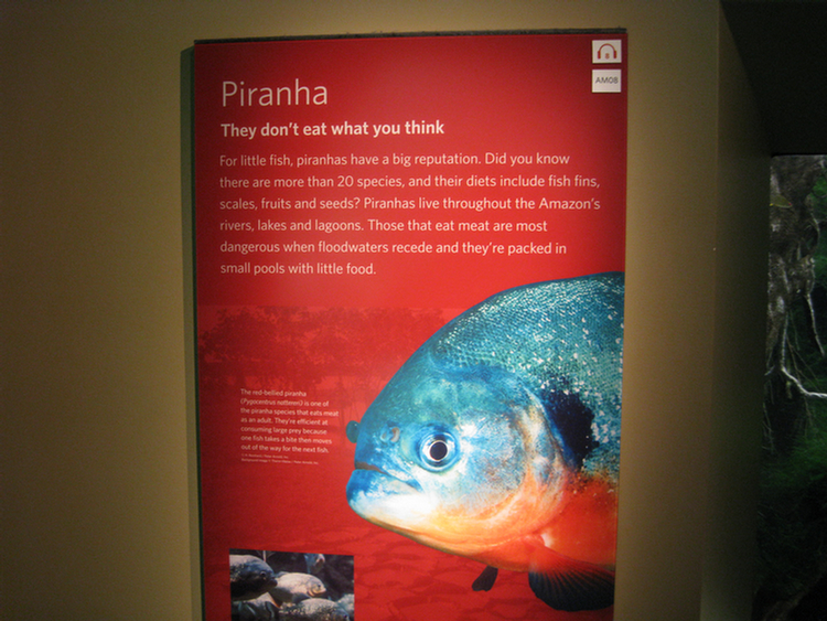 Piranha