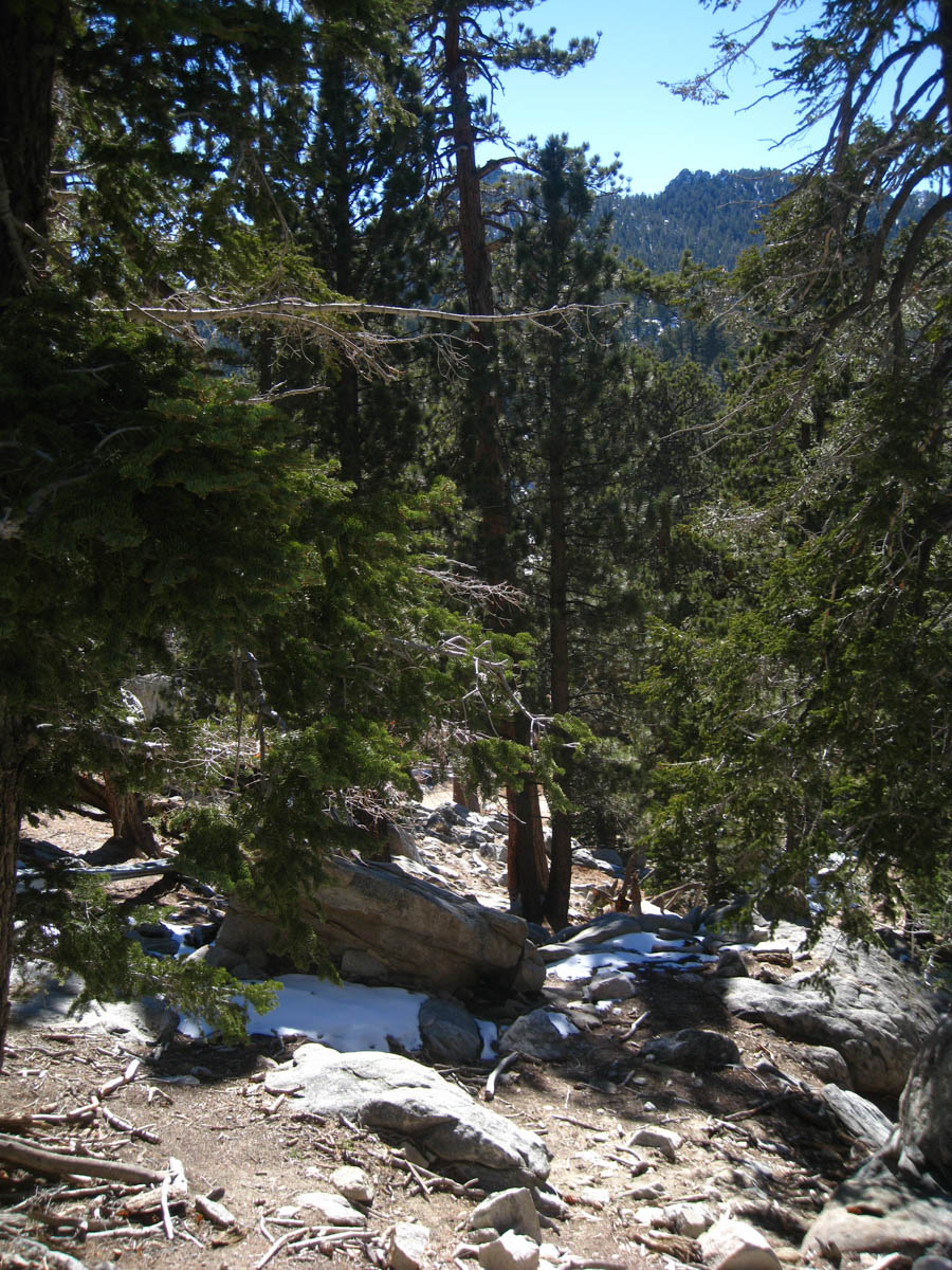 Palm Springs Aerial Tramway 2/5/2015