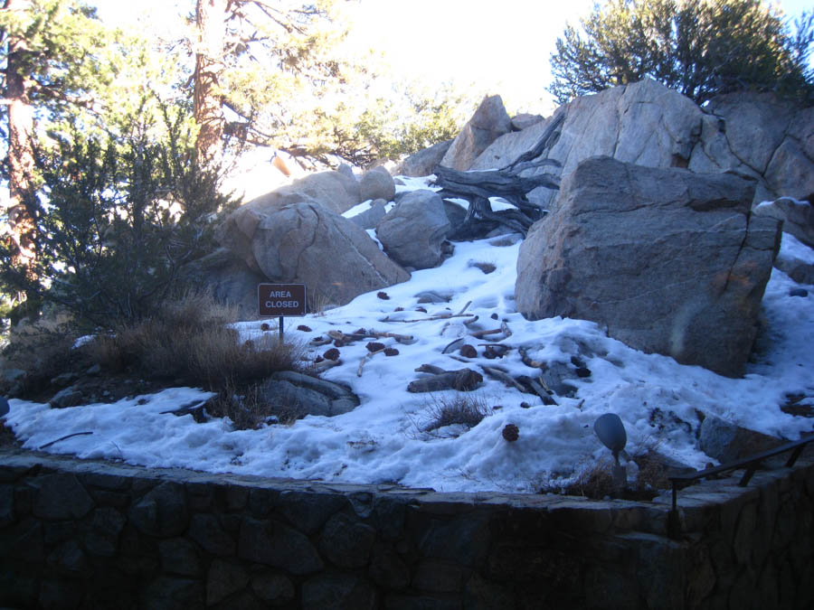 Palm Springs Aerial Tramway 2/5/2015