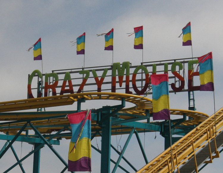 San Diego County Fair June 2009