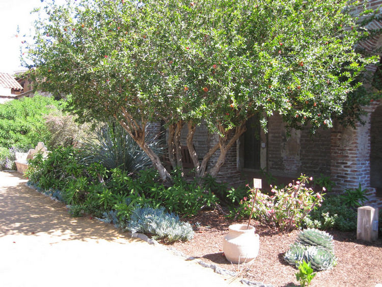 San Juan Capistrano 2009