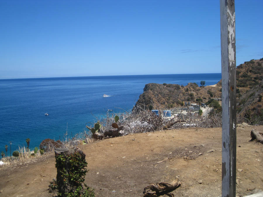 Avalon Catalina to celebrate Sue's birthday 7/10/2015