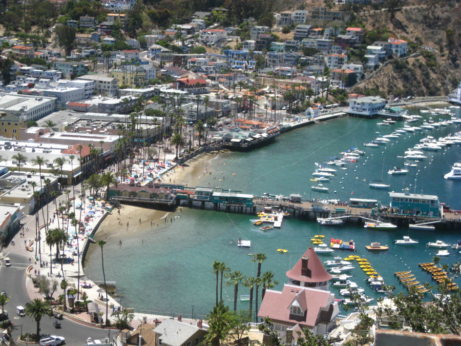 Avalon Catalina to celebrate Sue's birthday 7/10/2015