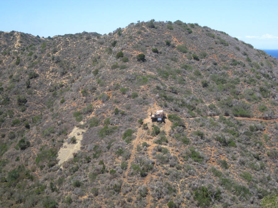 Avalon Catalina to celebrate Sue's birthday 7/10/2015