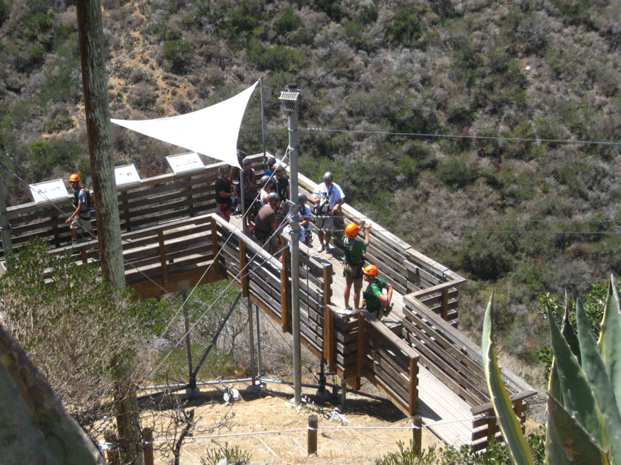 Avalon Catalina to celebrate Sue's birthday 7/10/2015