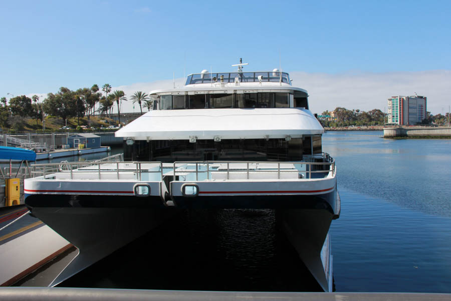 Sue celebrates her 65th birthday on Catalina