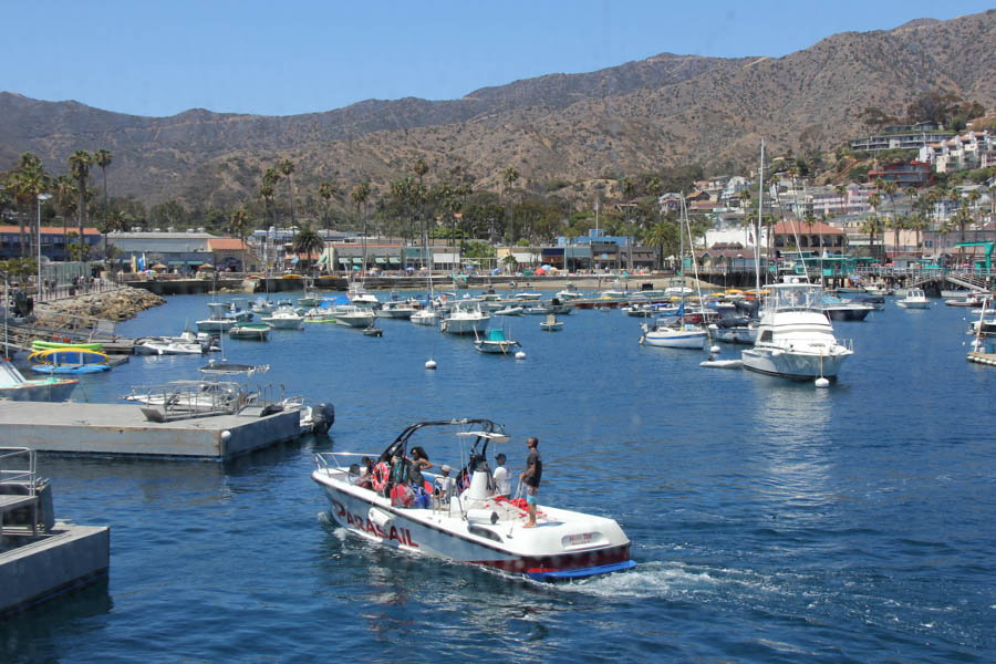 Sue celebrates her 65th birthday on Catalina