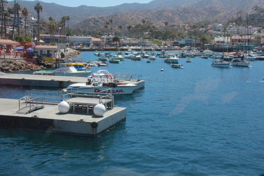 Sue celebrates her 65th birthday on Catalina