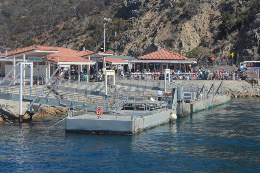 Sue celebrates her 65th birthday on Catalina