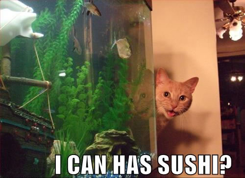 Can I has some sushi?