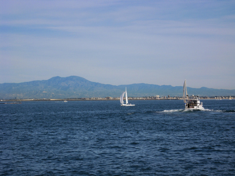 Tall Ships 2009