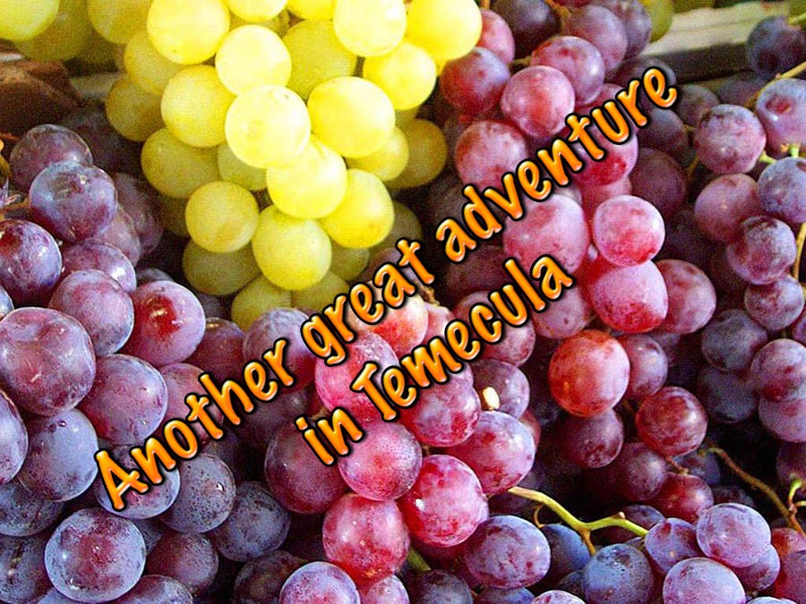 Jun 2014 Temecula wine adventure