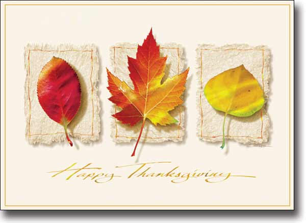 Thanksgiving Greeting Cards