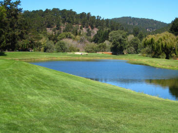 Paul Did NOT Hit The Water; A Neighbor's Backyard Maybe!