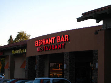 Elephat Bar For Dinner