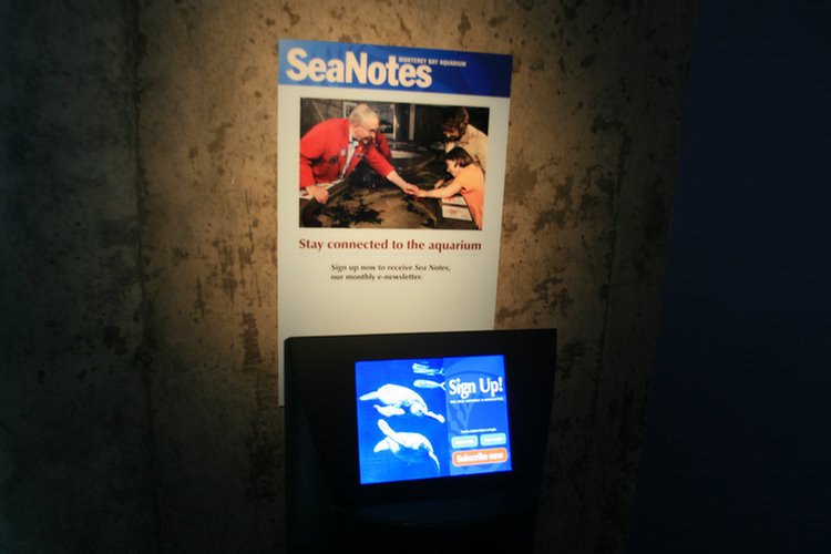 Monterey Aquarium Page Two - 2008