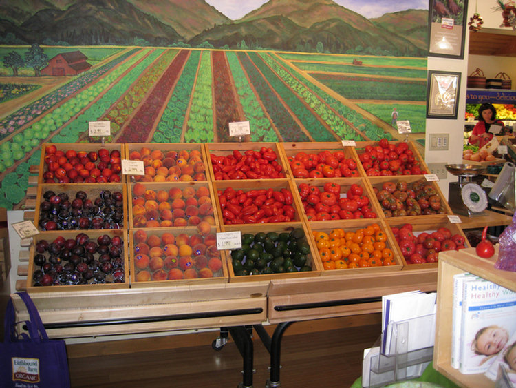 Visiting Diane, 2008 Tomatofest