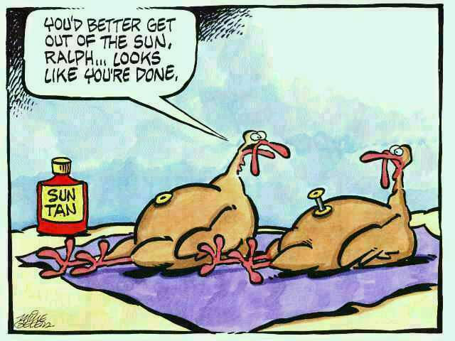 Turkey humor